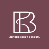 Волонтёры Культуры | Запорожская область