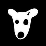 Dogs/Usdt Buy Sell