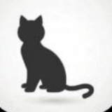 猫猫破解软件分享