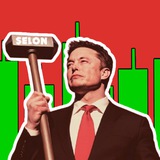 Not Official $ELON Portal