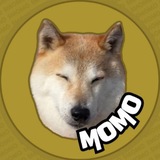 $MOMO PORTAL