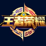王者高端定制科技