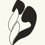 کانون افرا
