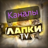 Семья Лапки