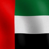 UAE OFFICIAL COIN