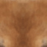 CommunityCoin