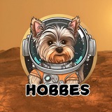 Elon Musk Dog