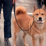 Kuma - Portal