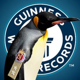 The Most Famous Penguin | $NILSOLAV Portal