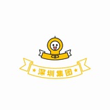 深圳集团报告（仅供参考）