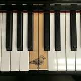 Essence of-melody.