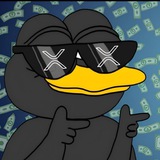 XRPeng CTO