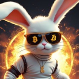 BitBunny _sol portal
