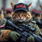 MAGACAT PORTAL