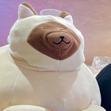 부자고양이