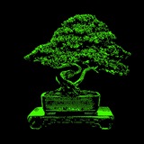 BONSAI - portal