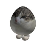 EGGCAT