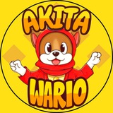 AKITA WARIO BSC // 3% MAX WALLET GLOBAL CHAT 1YEAR LOCK LP
