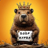 Бобр Курва