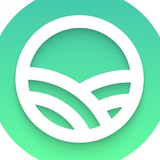 Delea Finance