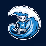 Tsunami Esports 🏄‍♂️