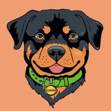 Chop the GTA Dog Portal
