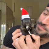 $PNUTMAS Portal