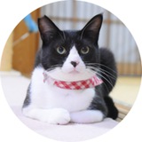 ONIGIRI | Neiro'S Brother