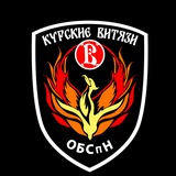 “Курские Витязи”