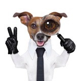 МинВоды | ПОИСК 🐶💰🪪📃