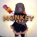 🍂Best Monkey🍁