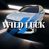 Wild Luck