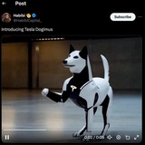Tesla Dogimus || OG