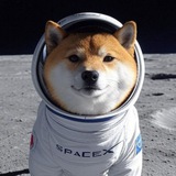 SpaceX Doge