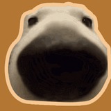 Dog Sniff