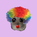CLOWN SHITALK
