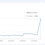 SEO Дропы 🦾