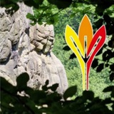 Der Hel Seher Germanische Heilkunde deutschsprachig