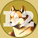 DOGE 2 | $CAESAR Portal
