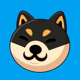 Ishi | The Father of Shiba Inu