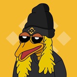 Bird-Dog CTO