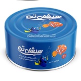 سیشل تن