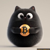 BITCAT Portal | Official Bitcoin Mascot CTO