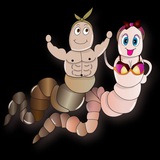 خراطین