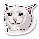 SAD MEOW CTO_PORTAL