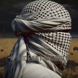 MidEast Insights (Backup)
