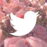 محافظ BesTweet