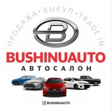 BUSHINUAUTO SALON