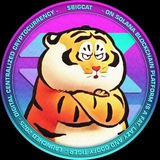 $BIGCAT Verification