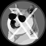 XDOGE 🐶 - BSC